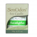 Eucalyptus Soy Candle 190g